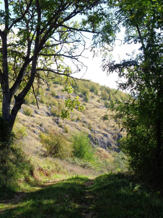sopotnica_iznad_krsta_original